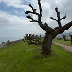 Centro Y Mar En Llanes