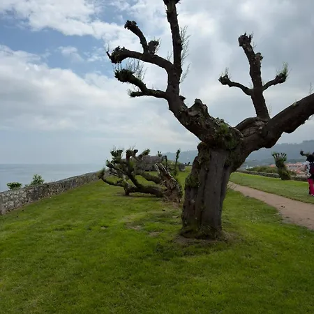 Centro Y Mar En Llanes